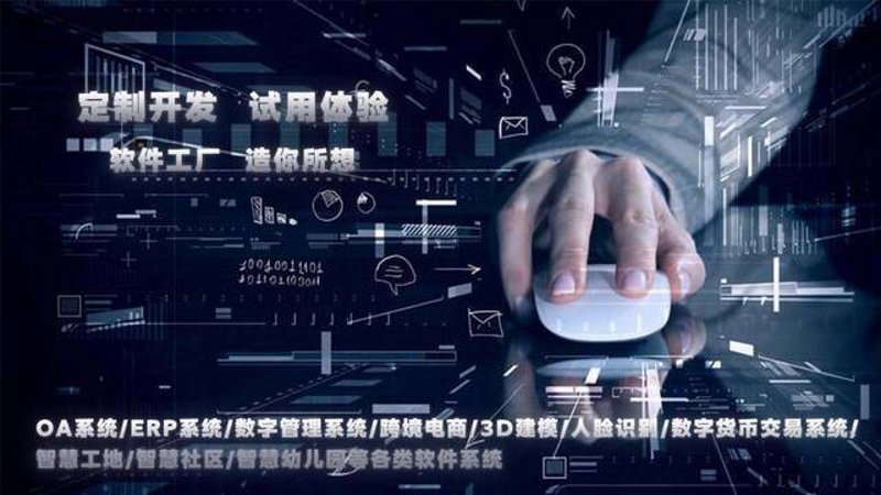 重庆软件开发业的发展风云